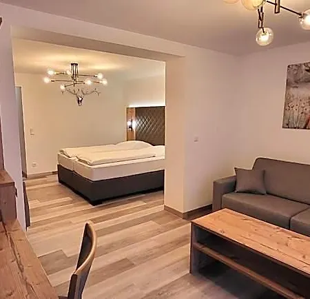 Geiger 4*