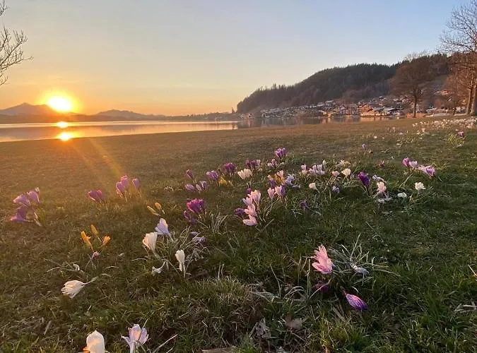 Geiger מלון Füssen